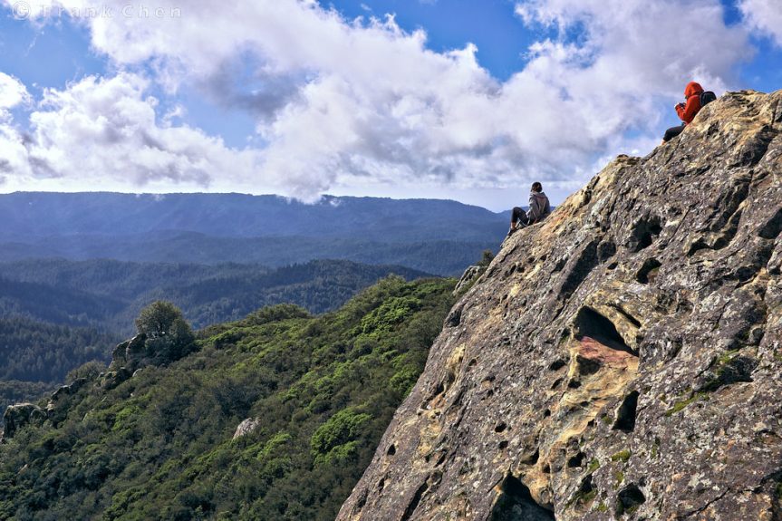 Redwood Summer Chapter&nbsp;17